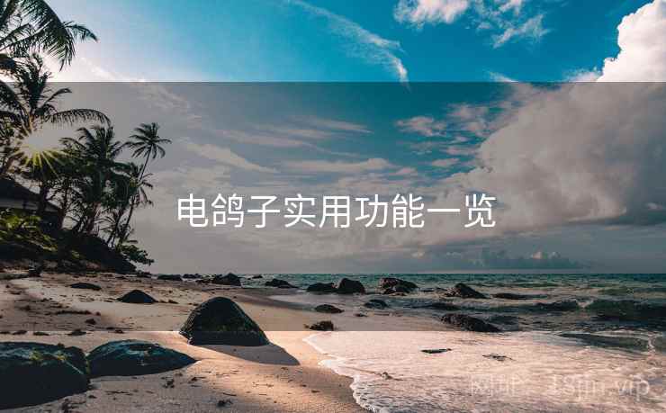电鸽子实用功能一览