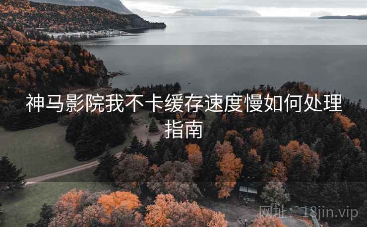 神马影院我不卡缓存速度慢如何处理指南