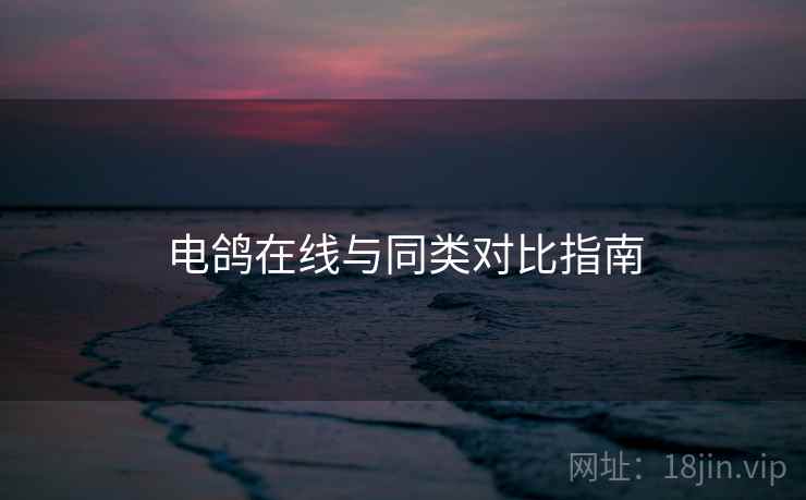 电鸽在线与同类对比指南