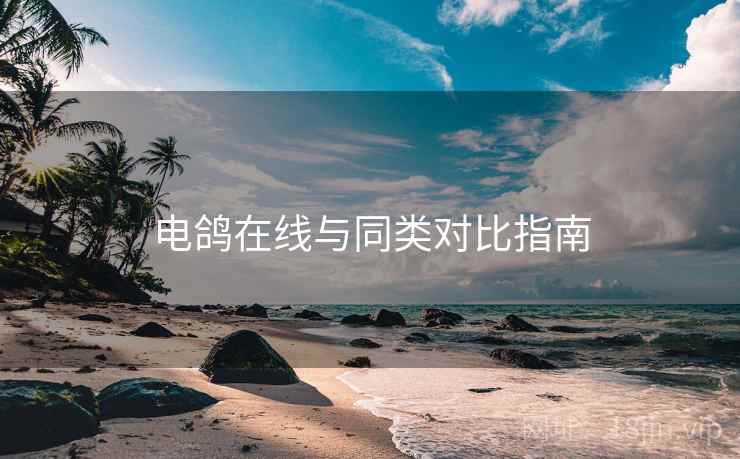 电鸽在线与同类对比指南