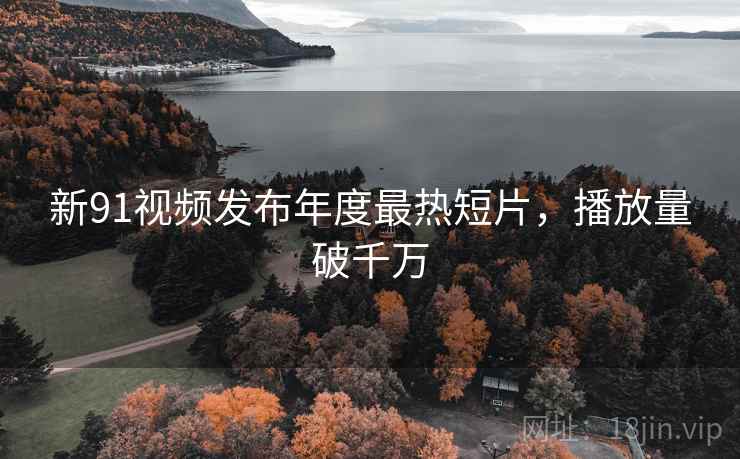 新91视频发布年度最热短片，播放量破千万
