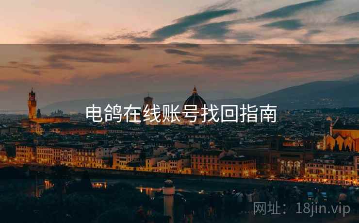电鸽在线账号找回指南