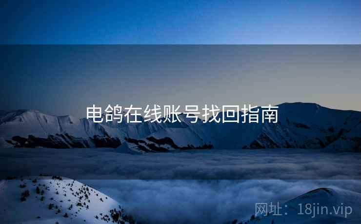 电鸽在线账号找回指南