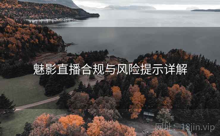 魅影直播合规与风险提示详解