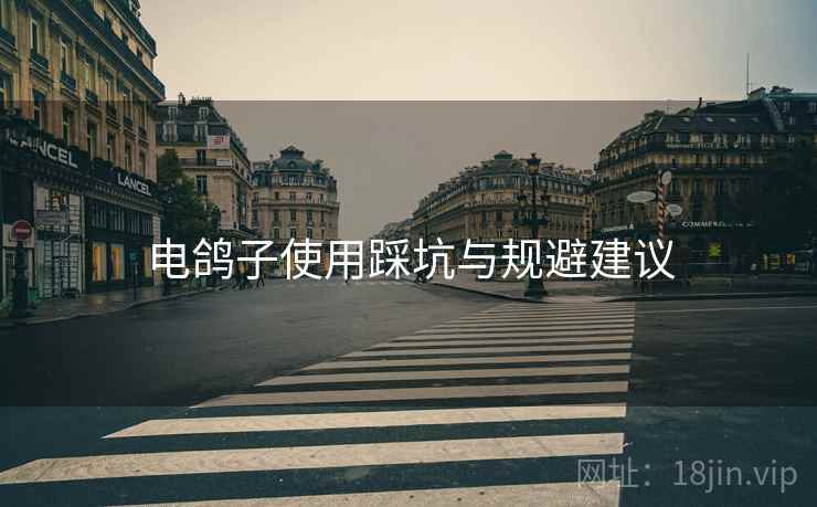 电鸽子使用踩坑与规避建议