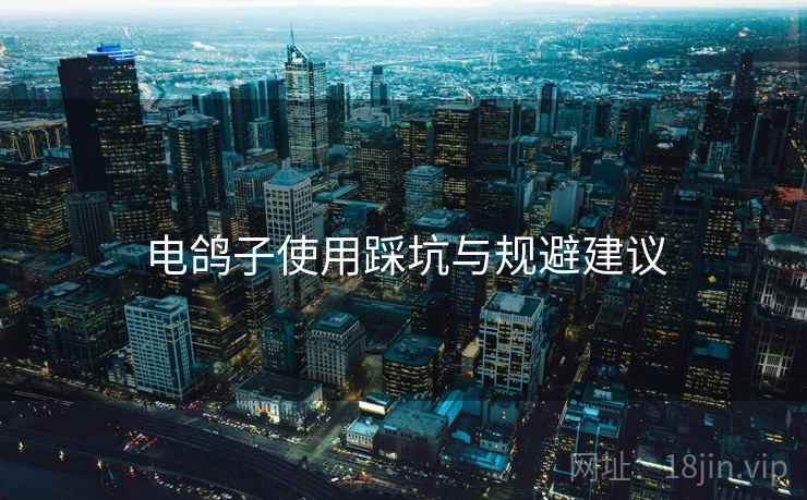 电鸽子使用踩坑与规避建议
