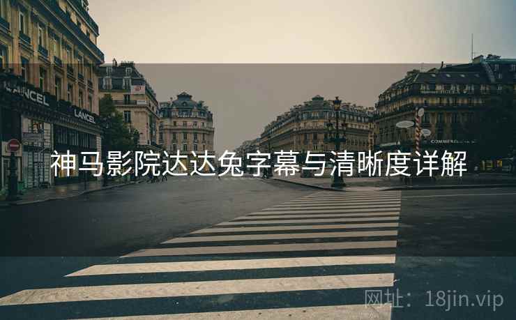 神马影院达达兔字幕与清晰度详解