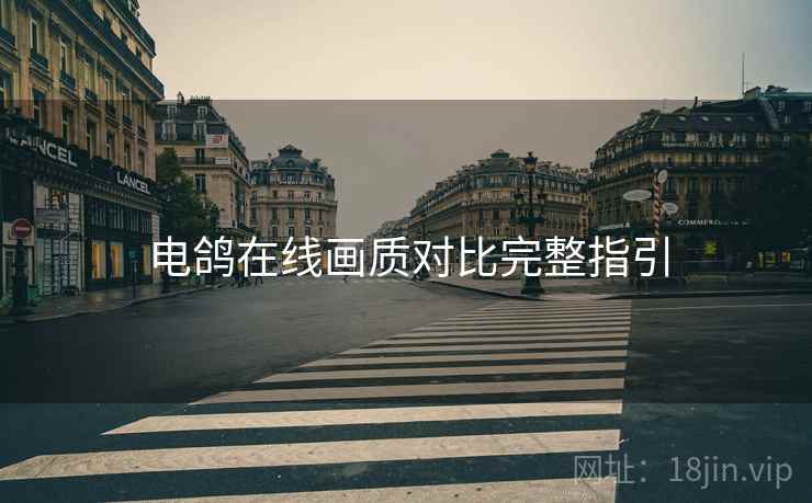 电鸽在线画质对比完整指引