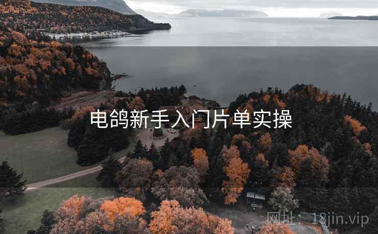 电鸽新手入门片单实操