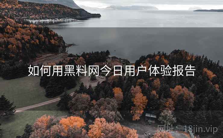 如何用黑料网今日用户体验报告