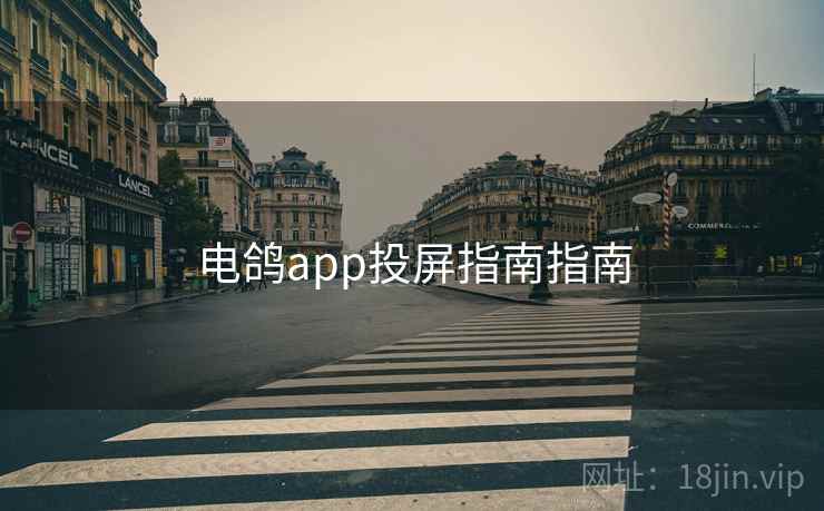 电鸽app投屏指南指南