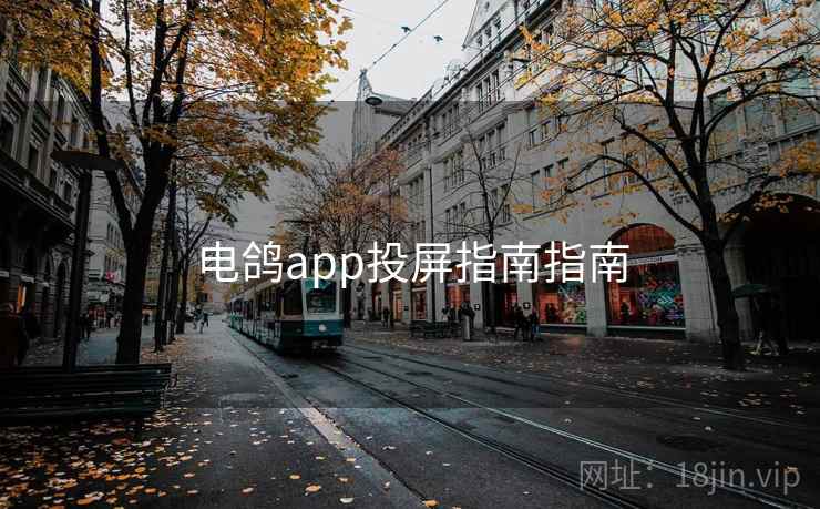 电鸽app投屏指南指南