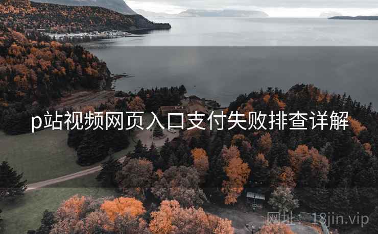 p站视频网页入口支付失败排查详解