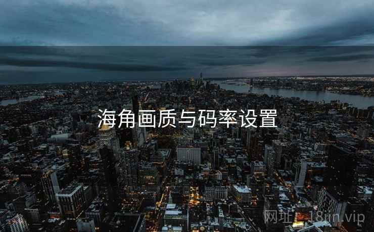 海角画质与码率设置