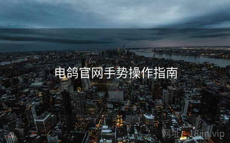 电鸽官网手势操作指南