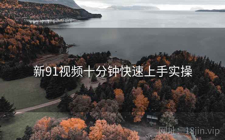 新91视频十分钟快速上手实操