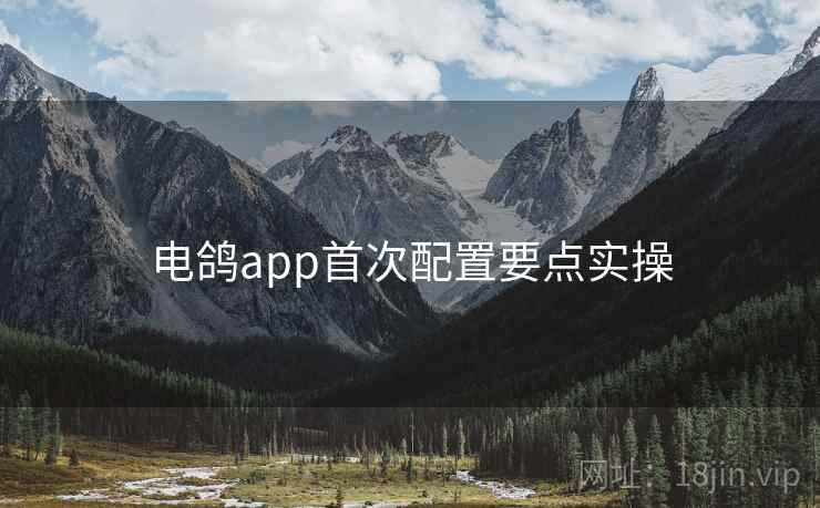 电鸽app首次配置要点实操