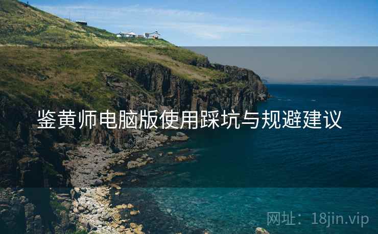 鉴黄师电脑版使用踩坑与规避建议