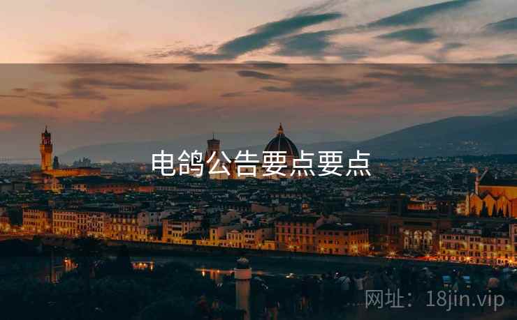 电鸽公告要点要点