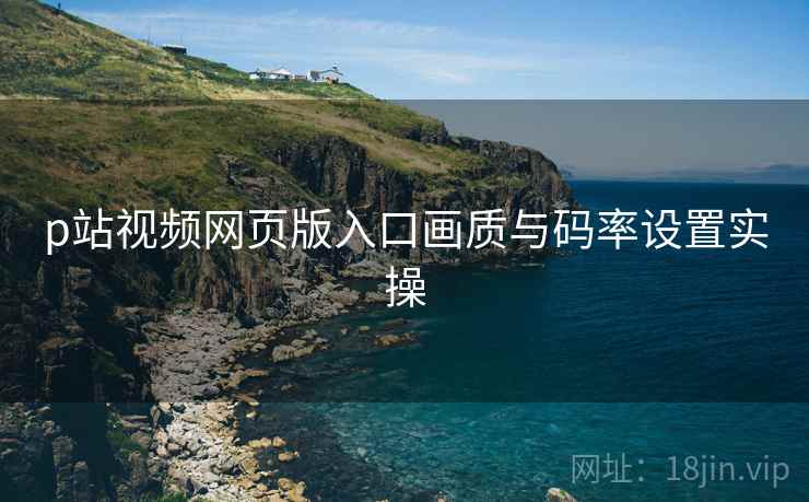 p站视频网页版入口画质与码率设置实操