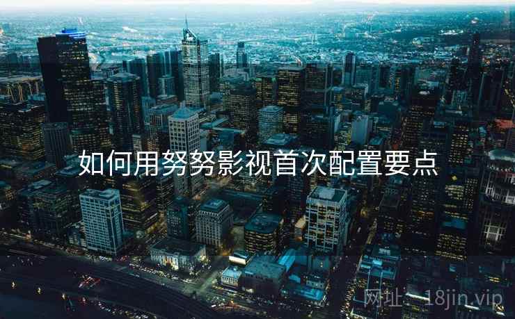 如何用努努影视首次配置要点