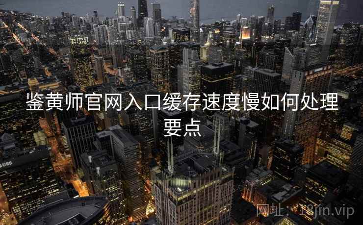 鉴黄师官网入口缓存速度慢如何处理要点