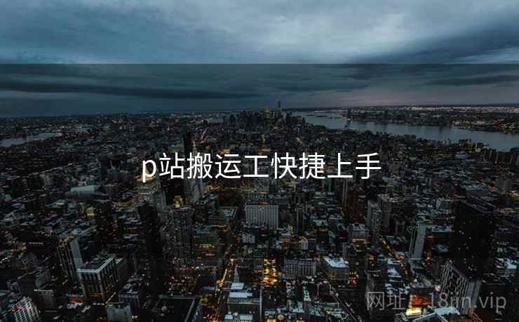 p站搬运工快捷上手