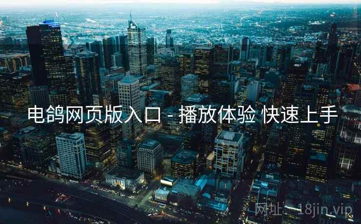 电鸽网页版入口 - 播放体验 快速上手