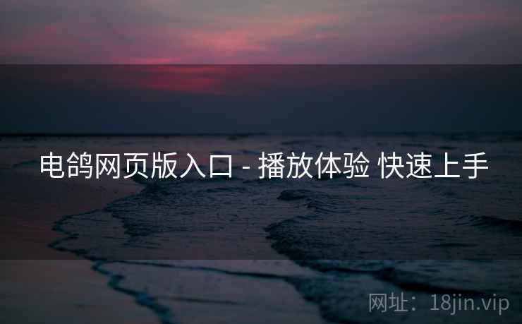 电鸽网页版入口 - 播放体验 快速上手